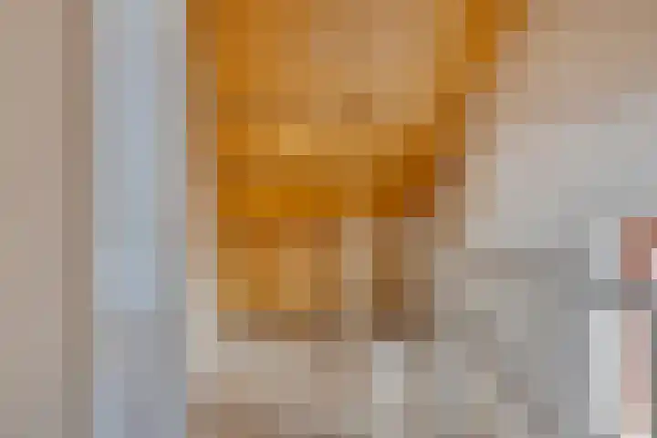 Golden Delicious 58 Duiven thumbnail 27