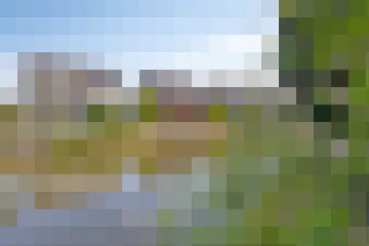 Golden Delicious 58 Duiven thumbnail 30