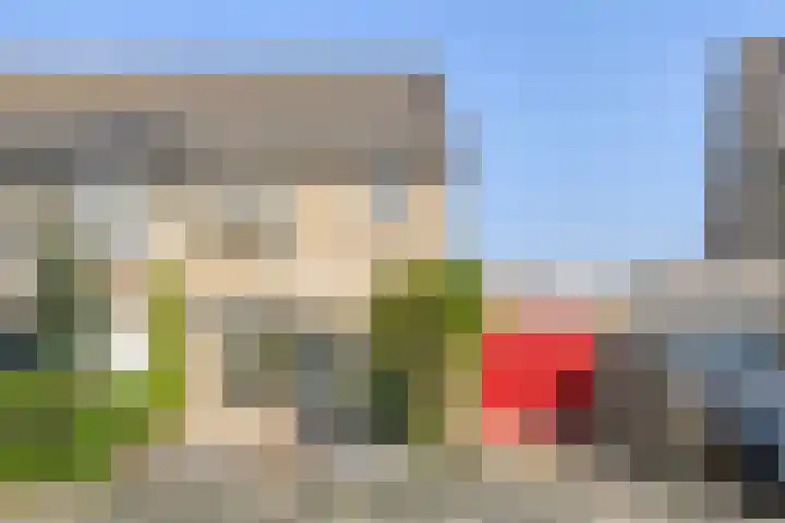 Golden Delicious 58 Duiven thumbnail 36