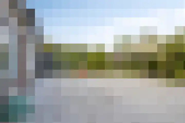 Golden Delicious 58 Duiven thumbnail 4