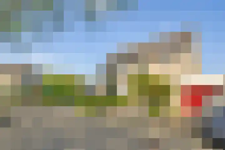Golden Delicious 58 Duiven thumbnail 5