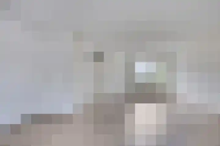 Golden Delicious 6 Duiven thumbnail 12