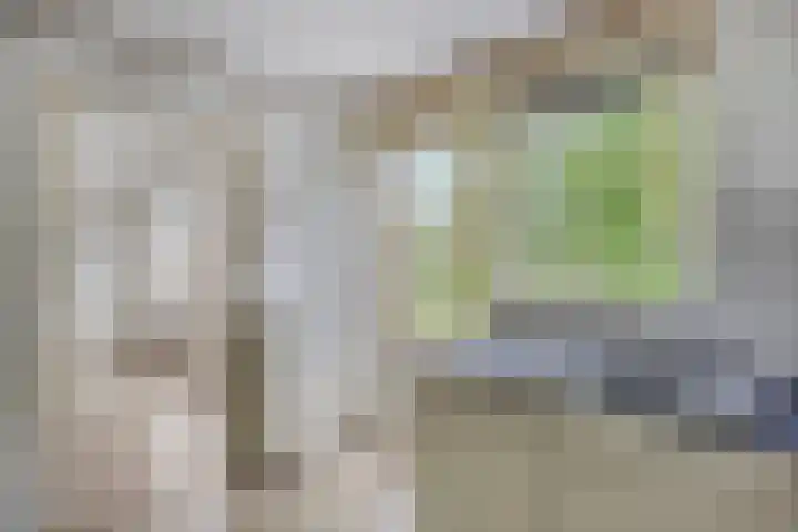 Golden Delicious 6 Duiven thumbnail 14