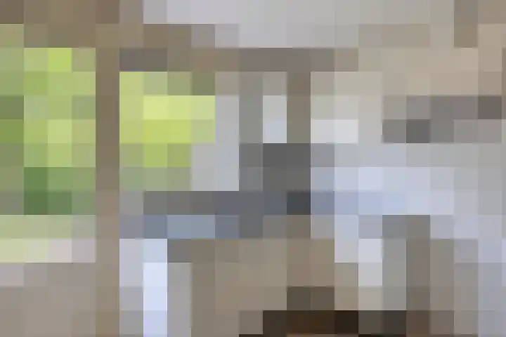Golden Delicious 6 Duiven thumbnail 15