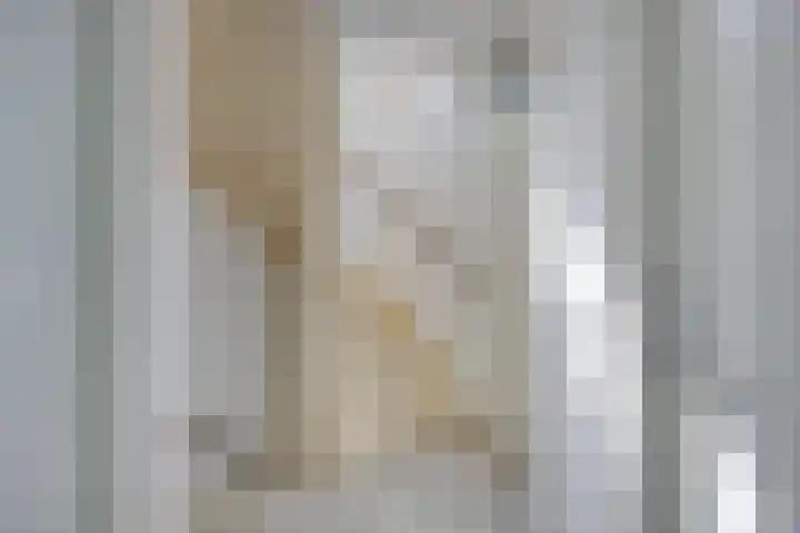 Golden Delicious 6 Duiven thumbnail 21