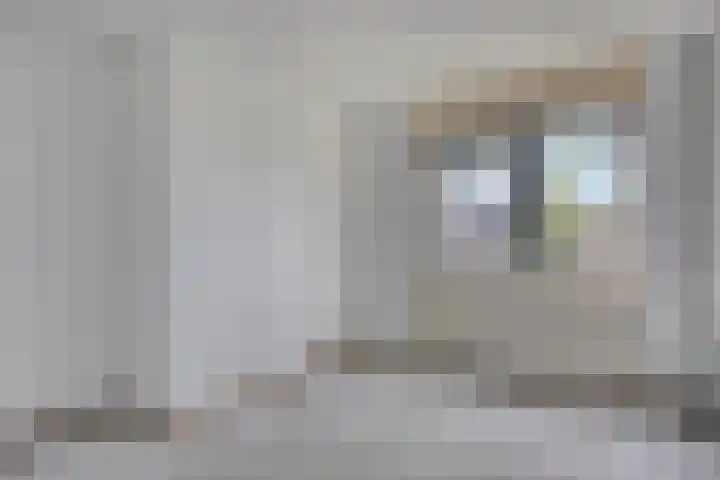 Golden Delicious 6 Duiven thumbnail 22