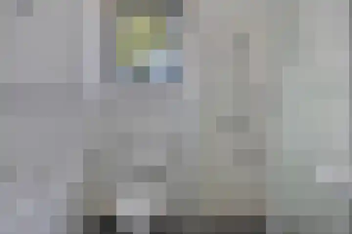 Golden Delicious 6 Duiven thumbnail 24