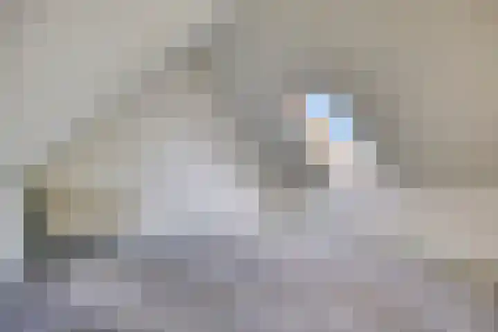Golden Delicious 6 Duiven thumbnail 31