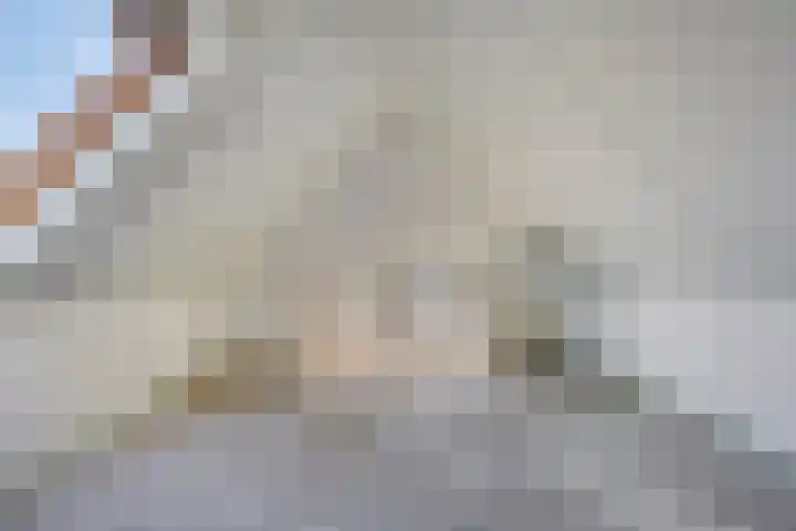 Golden Delicious 6 Duiven thumbnail 32