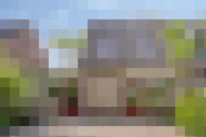 Golden Delicious 6 Duiven thumbnail 33