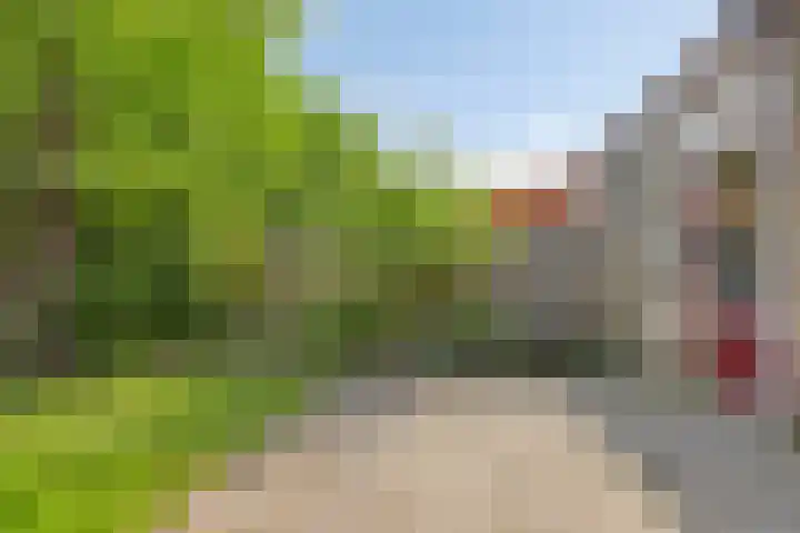 Golden Delicious 6 Duiven thumbnail 35