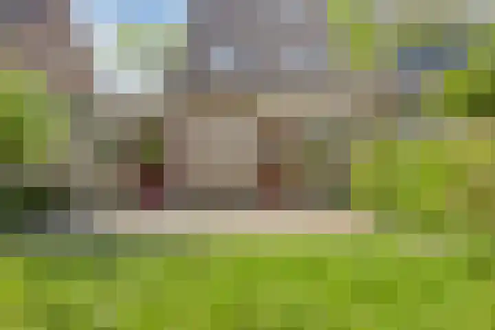 Golden Delicious 6 Duiven thumbnail 4