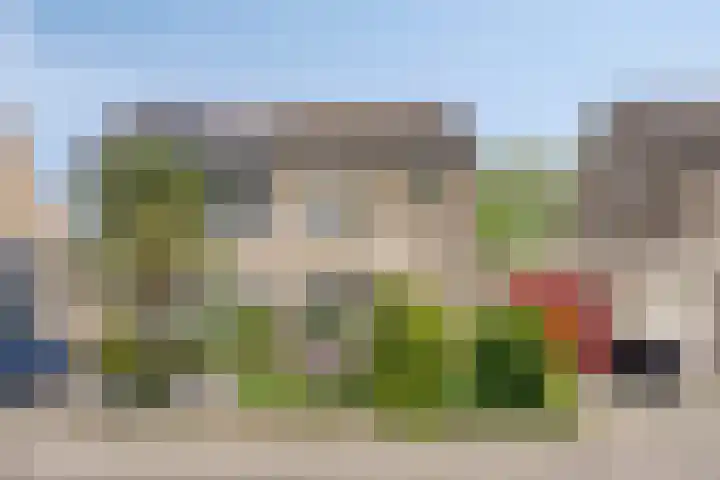 Golden Delicious 6 Duiven thumbnail 5