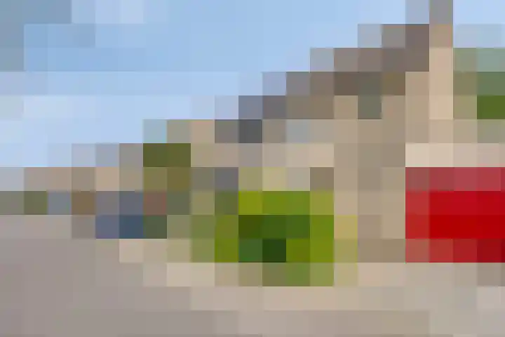 Golden Delicious 6 Duiven thumbnail 6