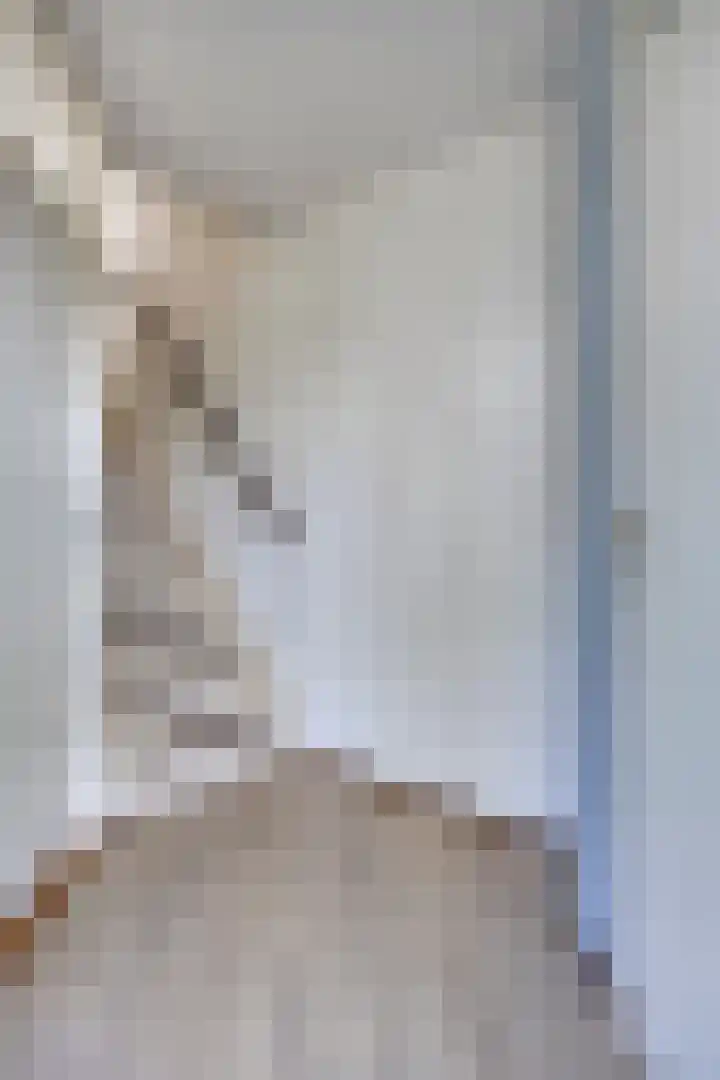 Golden Delicious 6 Duiven thumbnail 8