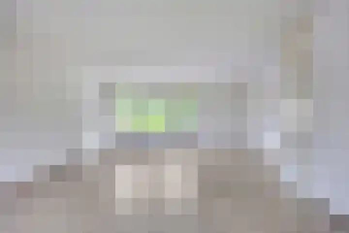Golden Delicious 6 Duiven thumbnail 9