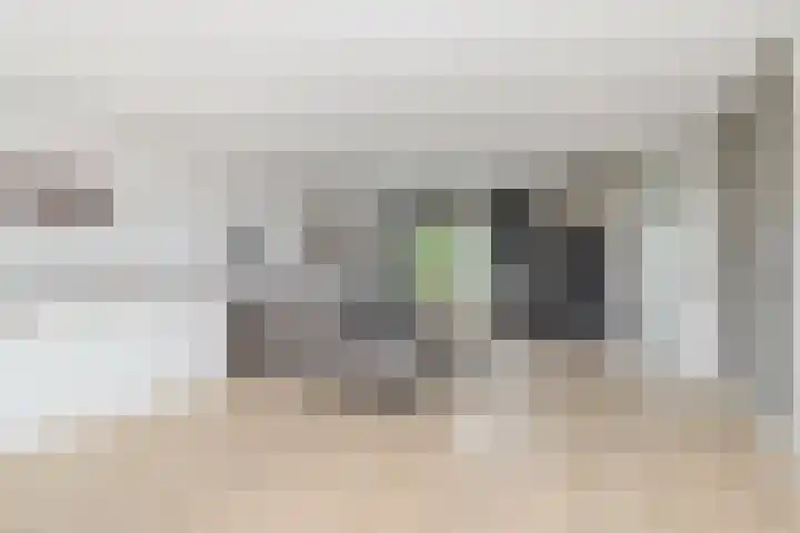 Golden Delicious 60 Duiven thumbnail 11