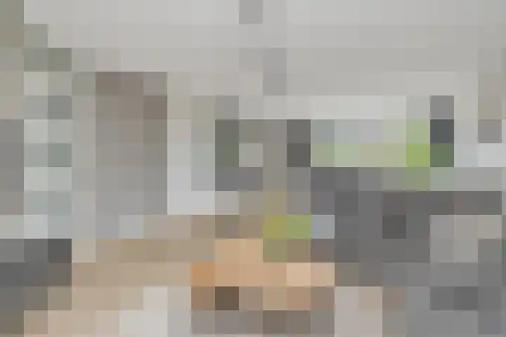 Golden Delicious 60 Duiven thumbnail 12