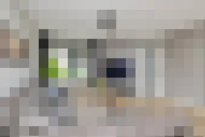Golden Delicious 60 Duiven thumbnail 13