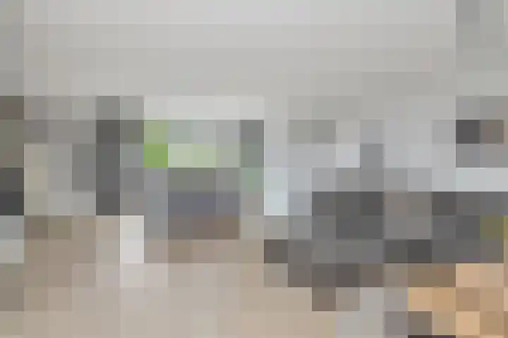 Golden Delicious 60 Duiven thumbnail 14