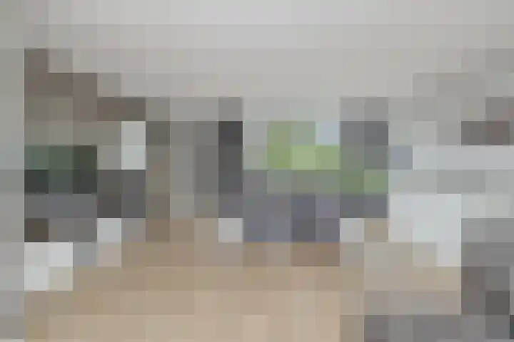 Golden Delicious 60 Duiven thumbnail 15