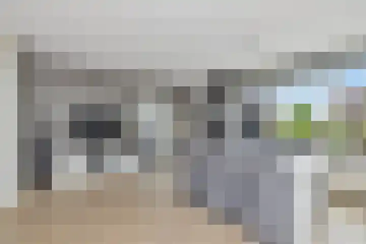 Golden Delicious 60 Duiven thumbnail 16