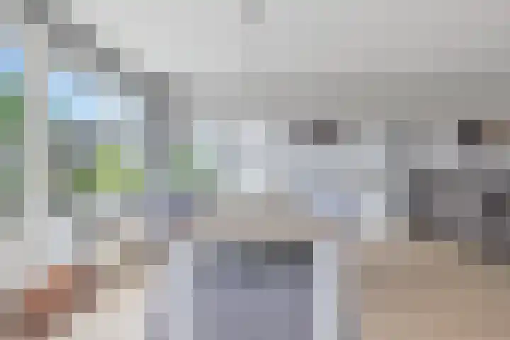 Golden Delicious 60 Duiven thumbnail 17