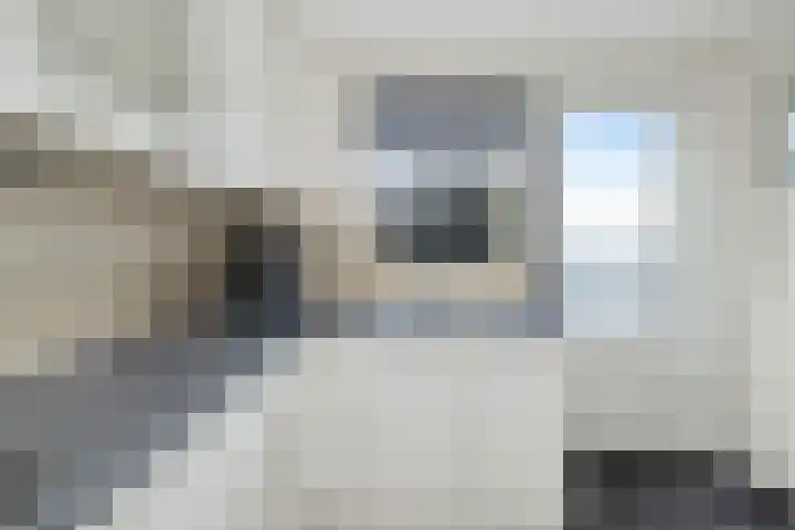 Golden Delicious 60 Duiven thumbnail 20