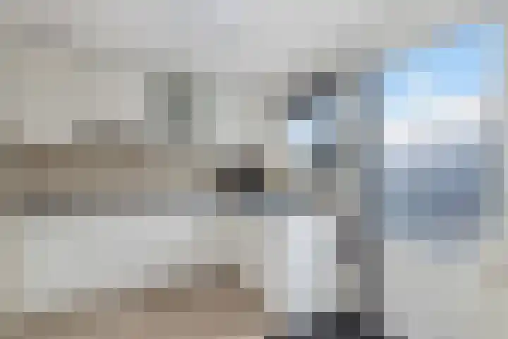 Golden Delicious 60 Duiven thumbnail 21