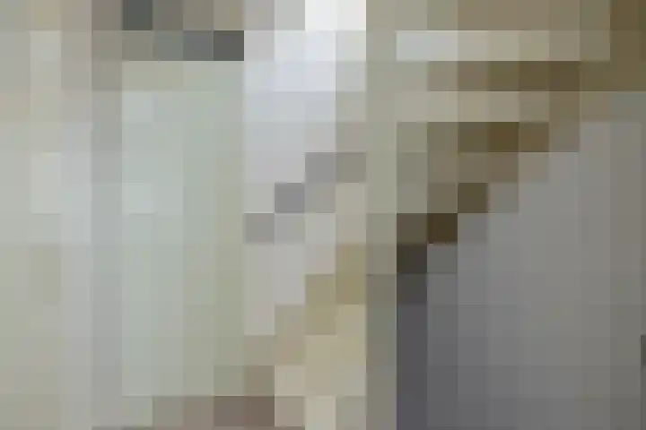 Golden Delicious 60 Duiven thumbnail 23
