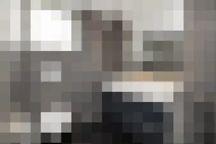 Golden Delicious 60 Duiven thumbnail 25