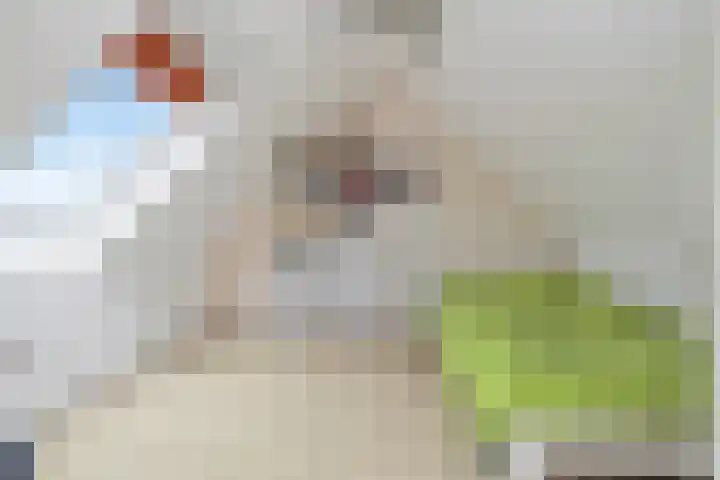 Golden Delicious 60 Duiven thumbnail 28