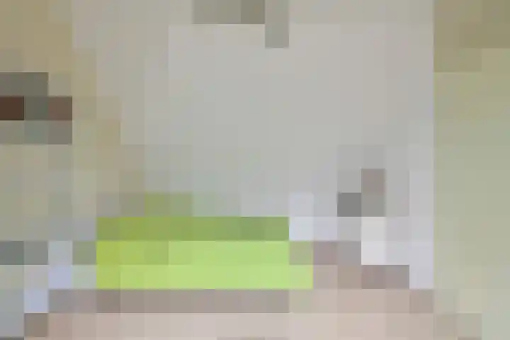 Golden Delicious 60 Duiven thumbnail 31
