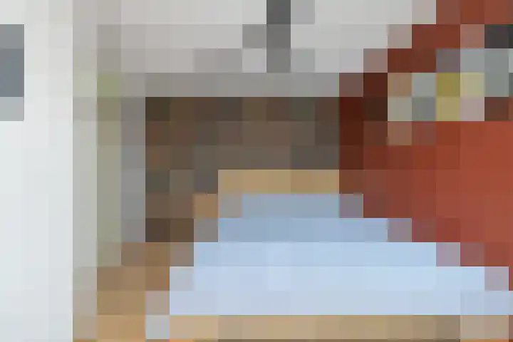 Golden Delicious 60 Duiven thumbnail 32