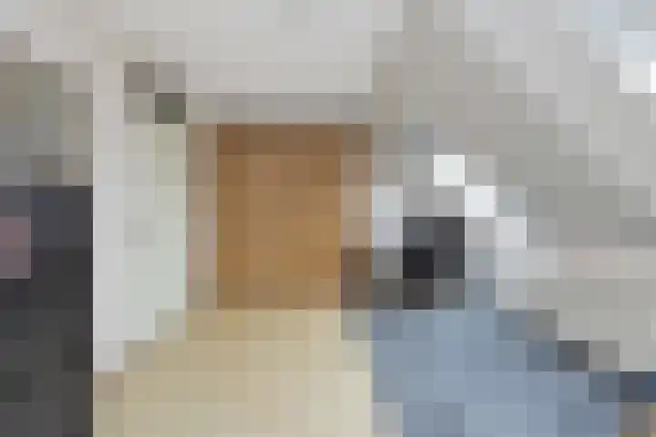Golden Delicious 60 Duiven thumbnail 37