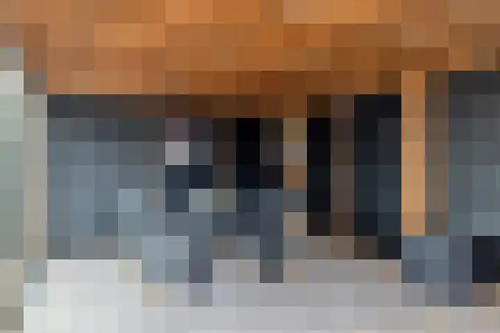 Golden Delicious 60 Duiven thumbnail 40