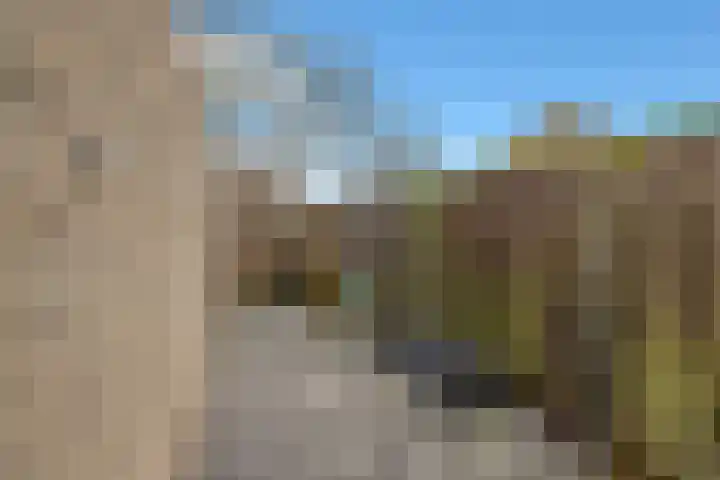 Golden Delicious 60 Duiven thumbnail 43
