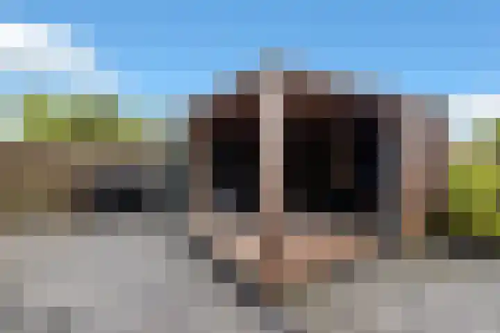 Golden Delicious 60 Duiven thumbnail 44
