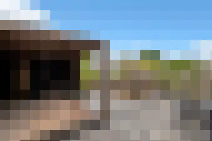 Golden Delicious 60 Duiven thumbnail 45