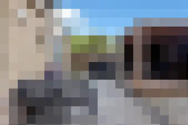 Golden Delicious 60 Duiven thumbnail 46