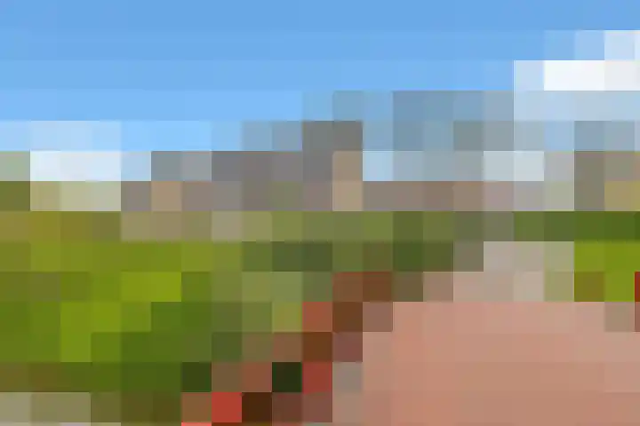 Golden Delicious 60 Duiven thumbnail 49
