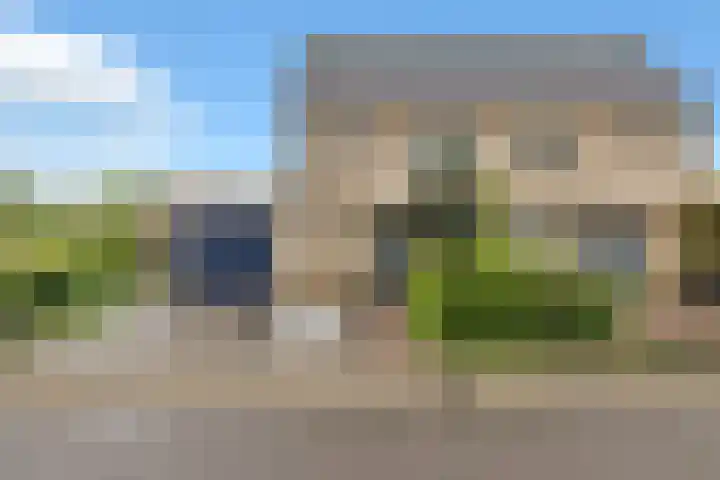 Golden Delicious 60 Duiven thumbnail 54