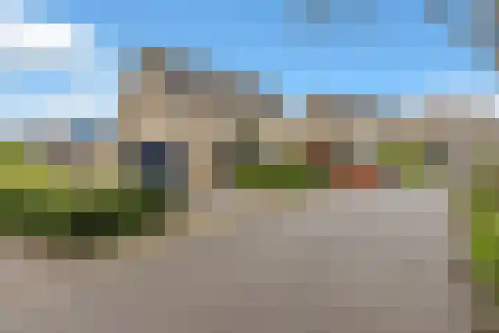 Golden Delicious 60 Duiven thumbnail 6