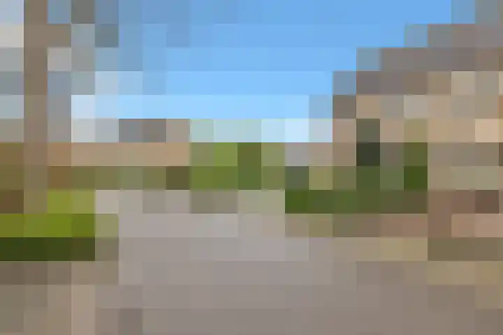 Golden Delicious 60 Duiven thumbnail 7