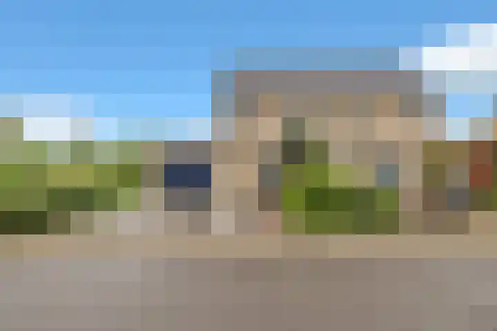 Golden Delicious 60 Duiven thumbnail 8