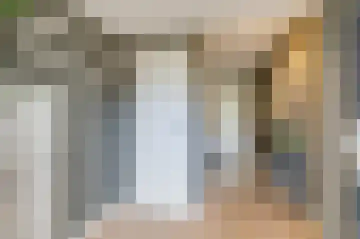 Golden Delicious 9 Duiven thumbnail 10