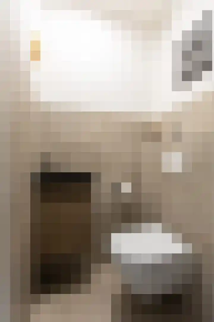 Golden Delicious 9 Duiven thumbnail 11
