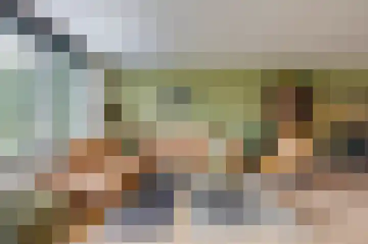 Golden Delicious 9 Duiven thumbnail 20