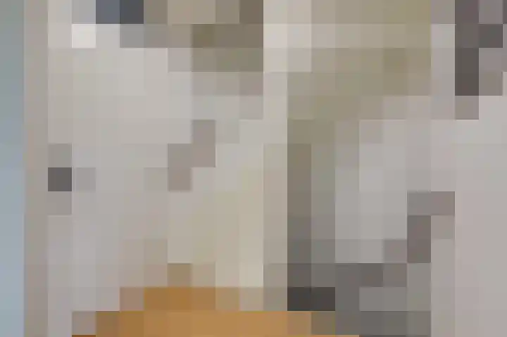 Golden Delicious 9 Duiven thumbnail 39