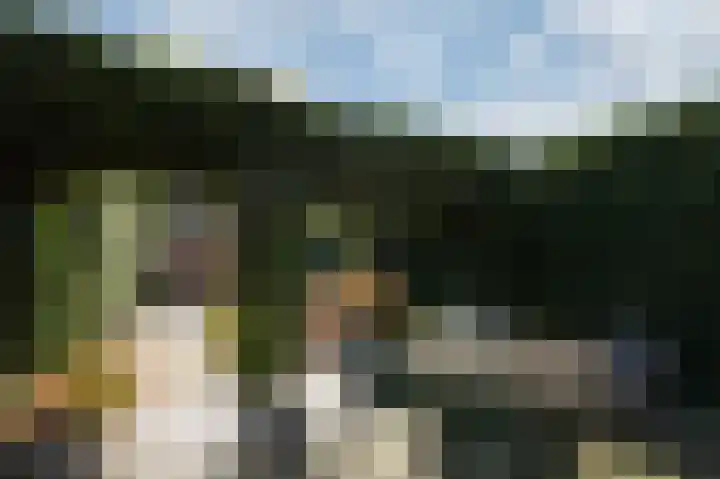 Golden Delicious 9 Duiven thumbnail 4